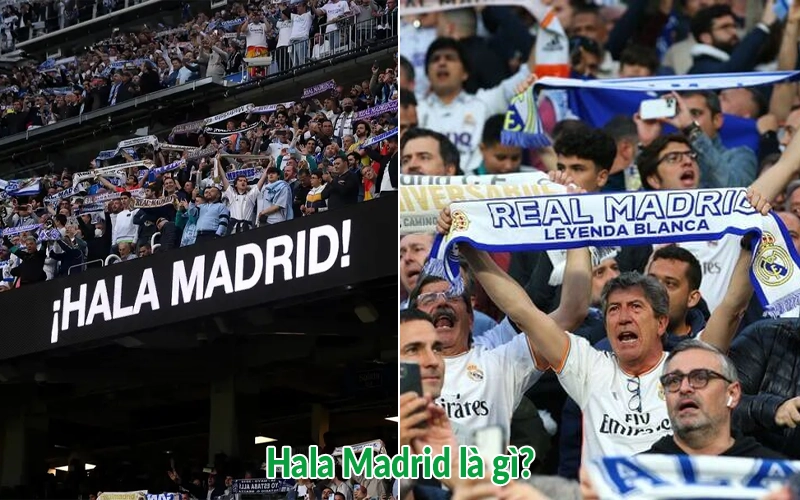 Hala Madrid là gì? Nguồn gốc và ý nghĩa của khẩu hiệu 2025