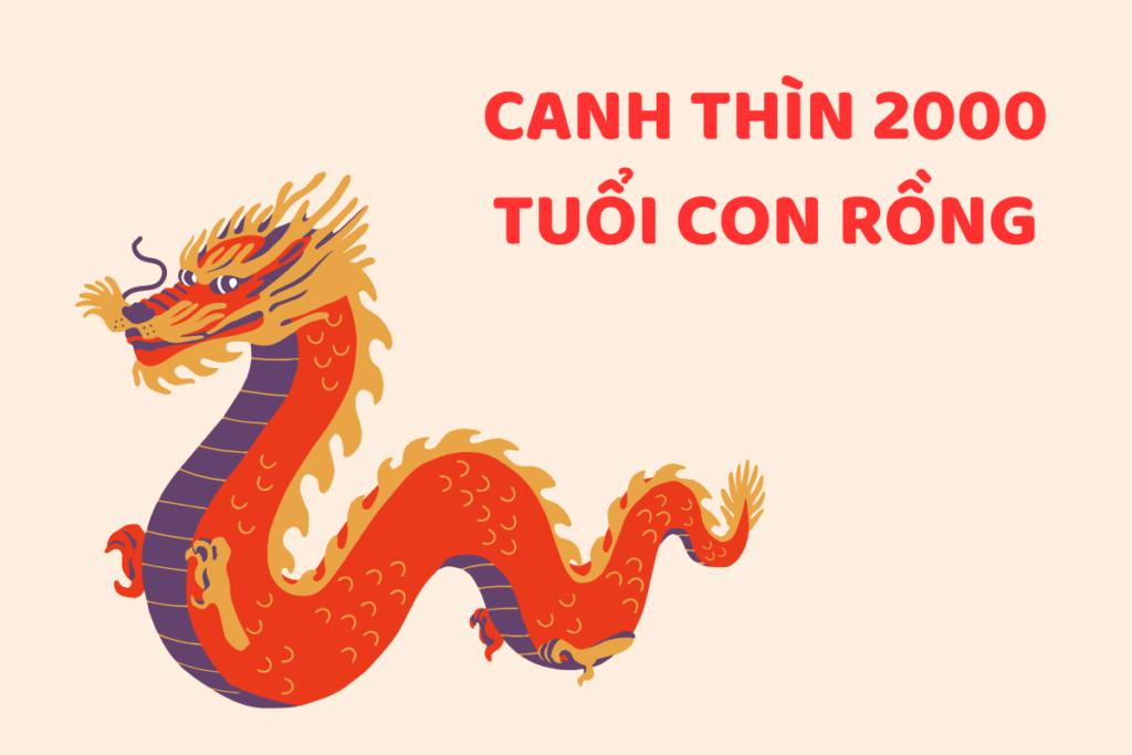 Tuổi Thìn hợp số mấy? Tuổi Thìn 2000