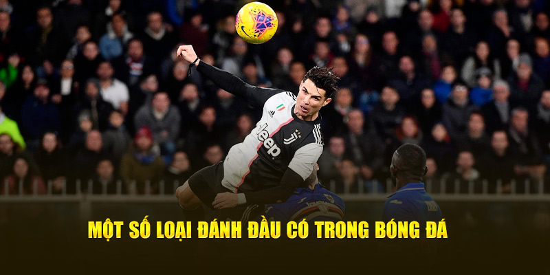 Các loại hình đánh đầu trong thi đấu thực tế Phân loại kỹ thuật đánh đầu tấn công và phòng ngự