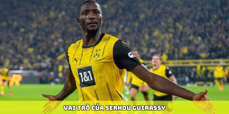 Borussia Dortmund - Biểu Tượng Của Bản Lĩnh Đức